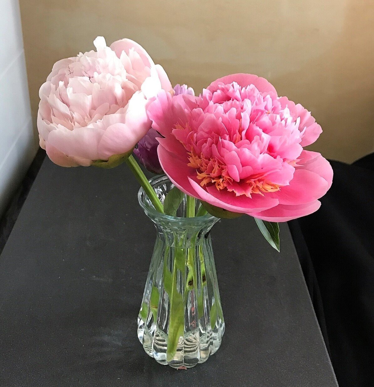 おうち活け花 芍薬 ピンクカメオ 悠冴紀 小説家 詩人 Note