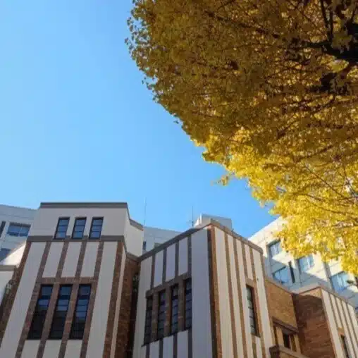 駒澤大学李ゼミ