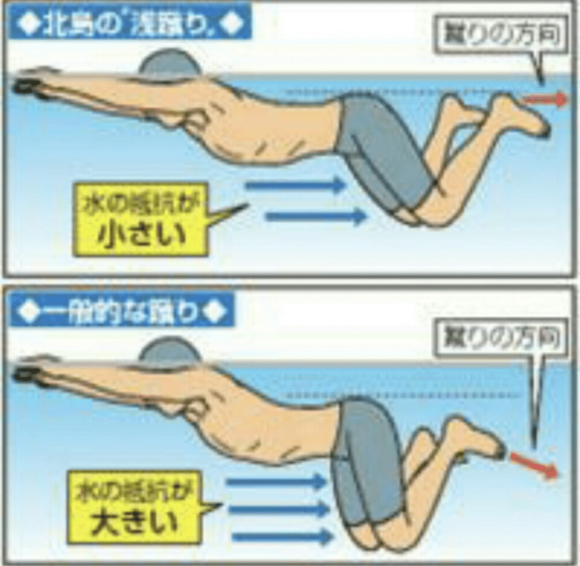 水泳の先生　ふともも 