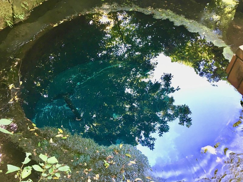 柿田川公園探訪その 知る人ぞ知る伊豆のパワースポット 神社 恋する乙女は全力でお参りにカモーン 熱湯ストレンジャー 小林ノリコ ストレンピンク Note