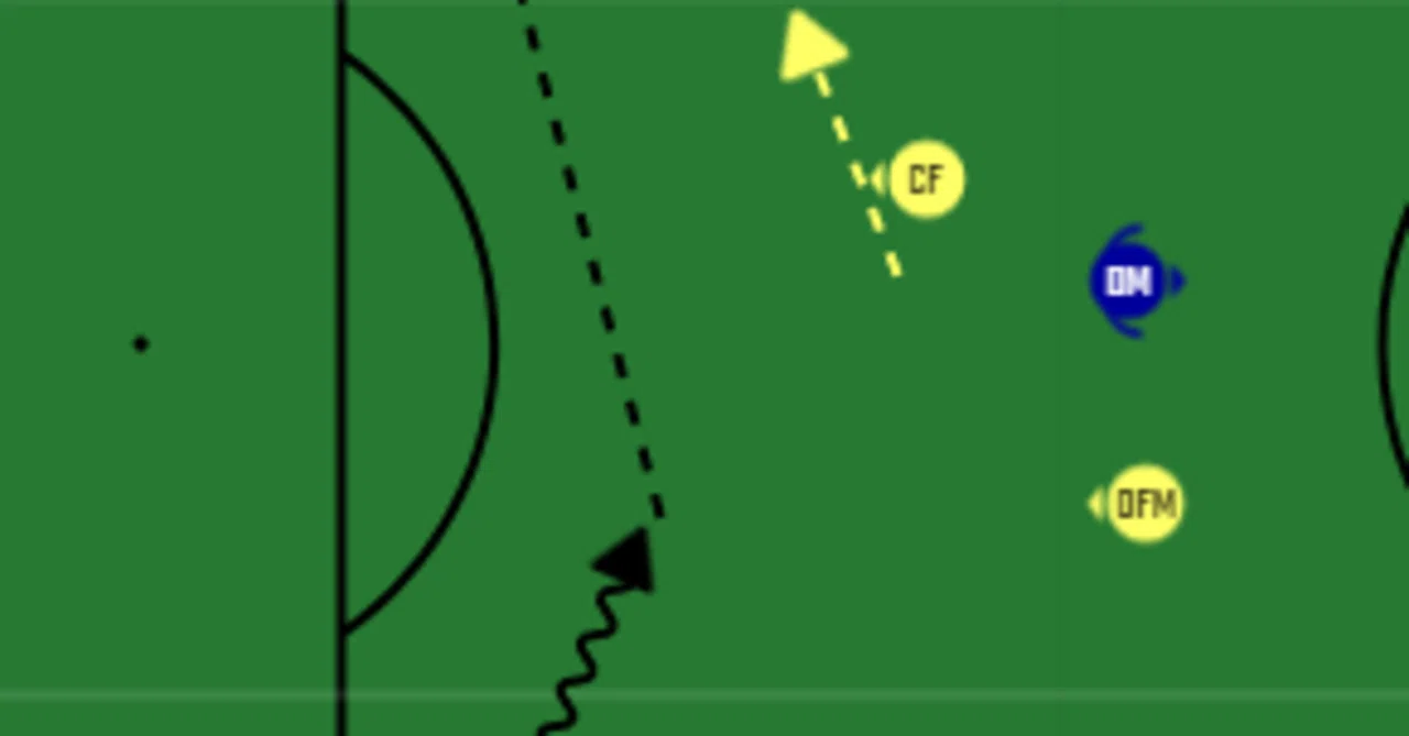 Japan vs Brazil: The difference in the breadth of responsibility ...