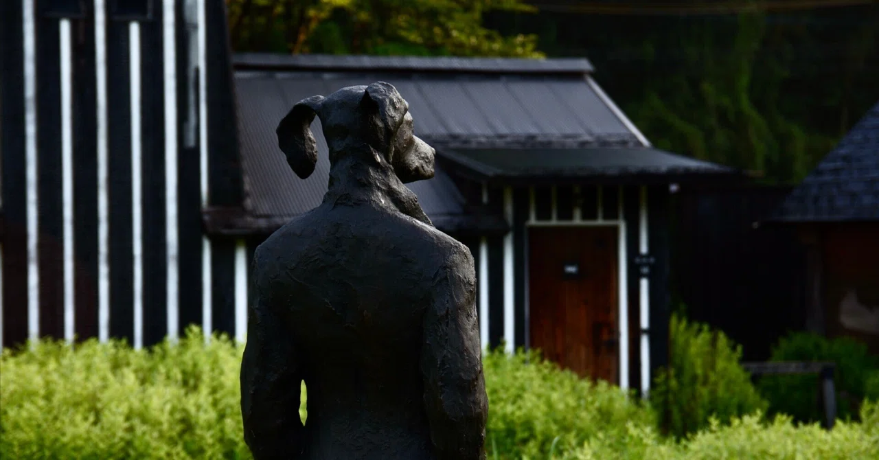 プレミア限定品】福岡大学 オブジェ 彫刻品 では犬のオブジェ プレミア限定品】福岡大学 オブジェ 彫刻品 では犬のオブジェ