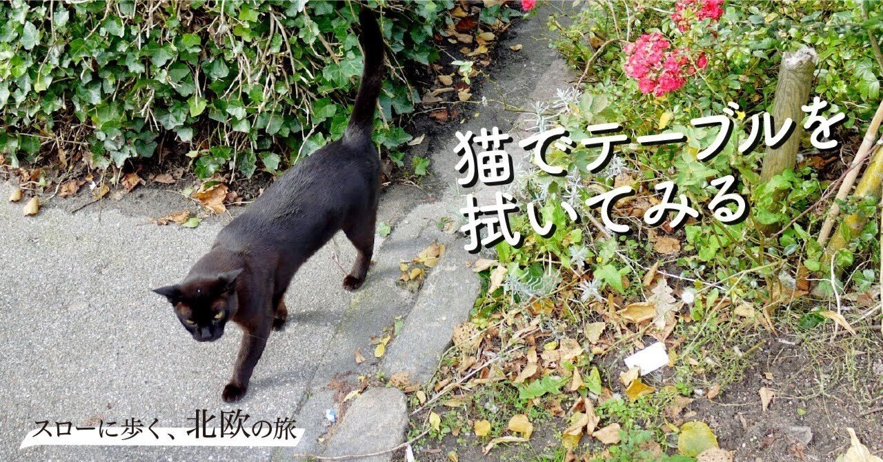 スローに歩く、北欧の旅 #4】バリスタ世界チャンピオンの店が取り組む