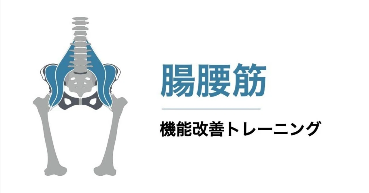 腸腰筋を機能させるトレーニング 平 純一朗 理学療法士 アスレティックトレーナーnote Note