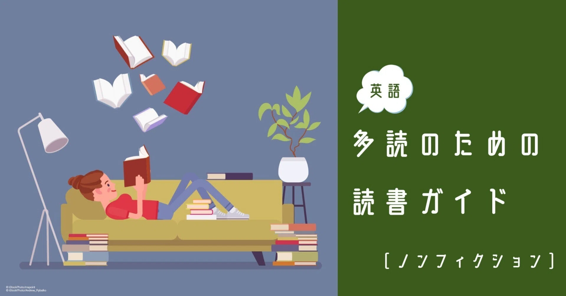 本 英語 イスラムの歴史と文明 南アジア / 大型本