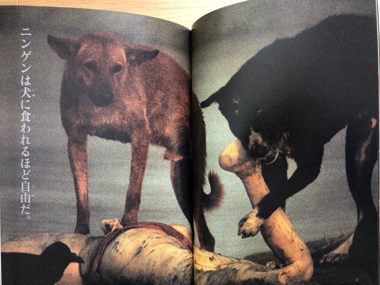 Shinya Fujiwara 藤原新也　 「メメントモリ」　オリジナルプリント Shinya Fujiwara: An original print from the book「Memento