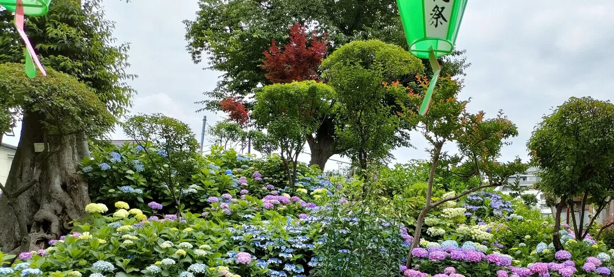 画像2