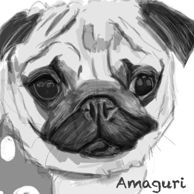 パグイラスト - お絵描き｜ケンスケ・コバヤシ 🐾パグ＆ピース｜note