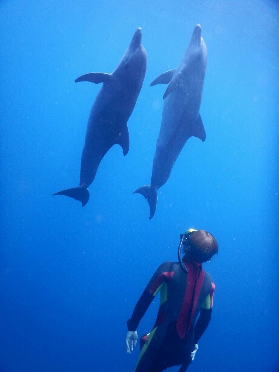 ダイビングでジープ島にまた行きたい｜真木崇志｜note