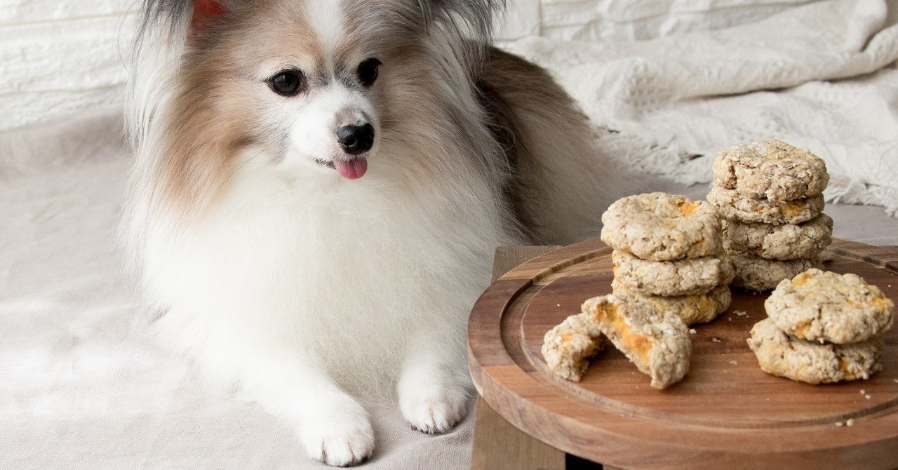 やわらか食感が食べやすい カントリーマアム風オーツ かぼちゃクッキー 手作り犬おやつレシピ 単品購入 いちかわあやこ 犬ごはん先生 Note