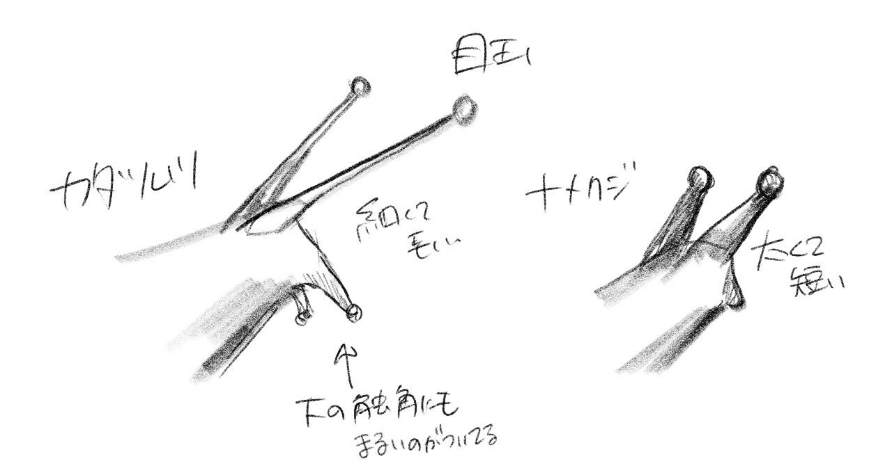 rectangle_large_type_2_de53384 rectangle_large_type_2_de53384