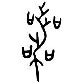 爽 ってなんでバツ印が4つもあるの 爽の裏に潜むふか い闇 Ku Note