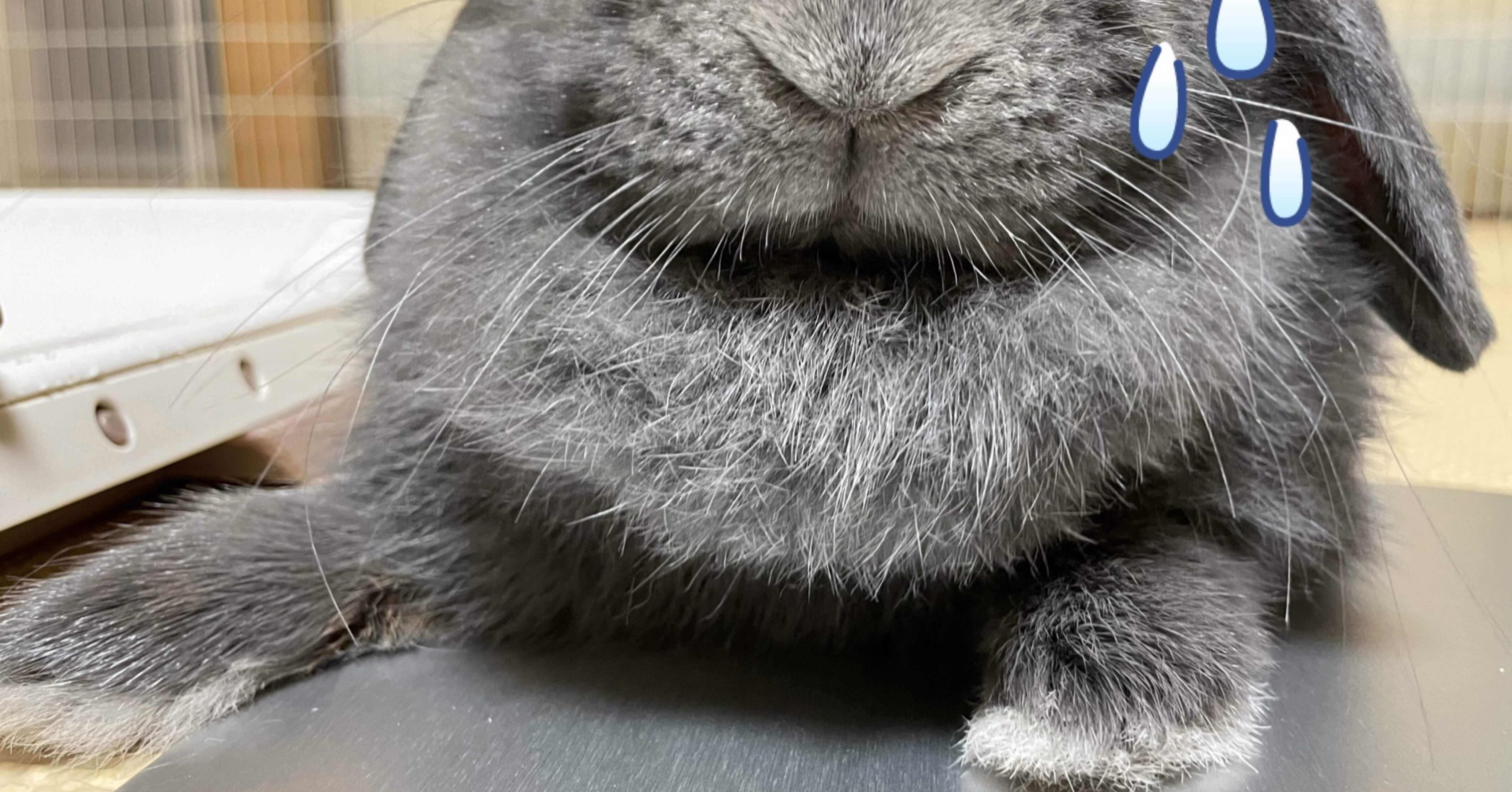 謎が残る真夜中の事件簿｜げーらびーず