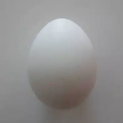ryokawameister