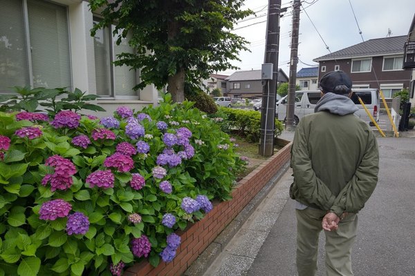 英語で写真日記 の新着タグ記事一覧 Note つくる つながる とどける