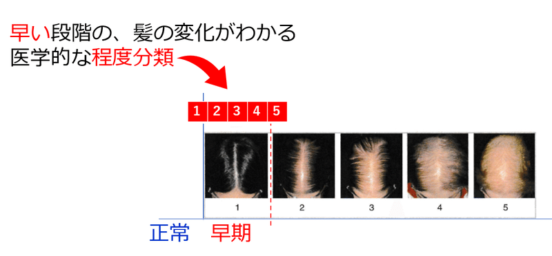 画像12