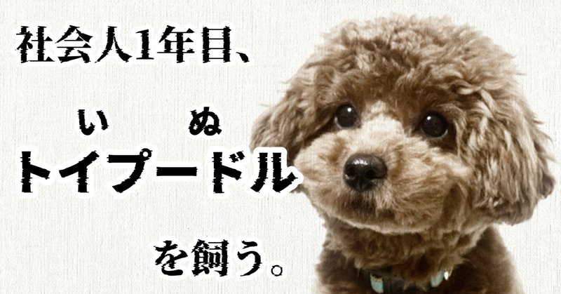 社会人1年目犬を飼う の新着タグ記事一覧 Note つくる つながる とどける