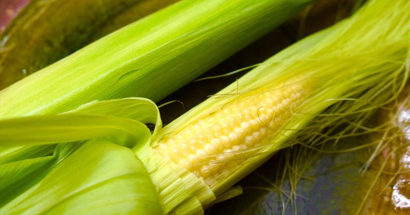 ヤングコーンに茗荷など！夏野菜が目白押し🌽🍅🥬74歳すし屋のnote