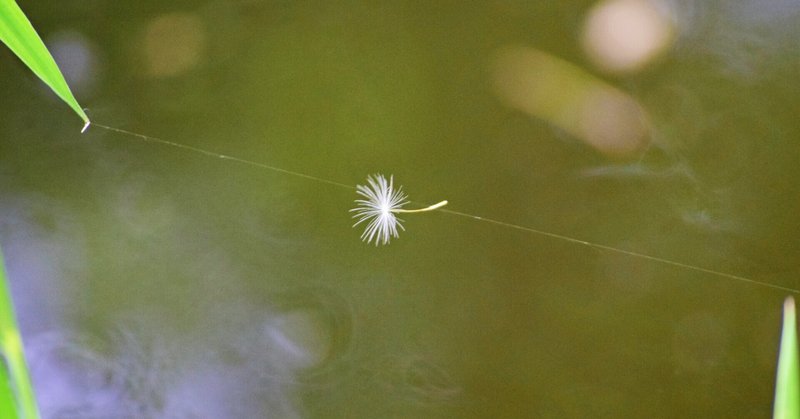 発達外来クモの糸