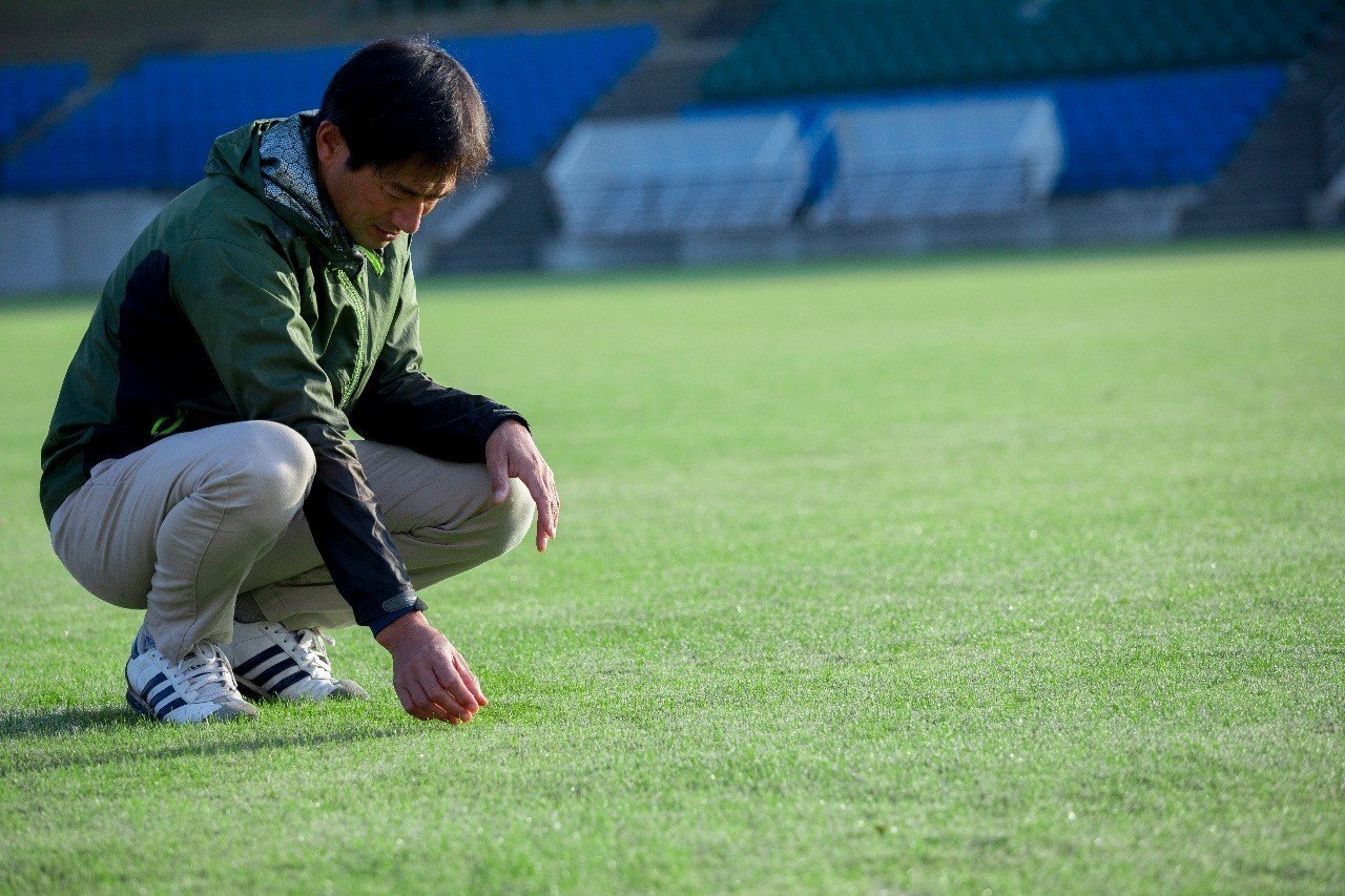 Jクラブが芝生をつくり 出荷 芝生化するまでのお話 高島祐亮 かーねる Note