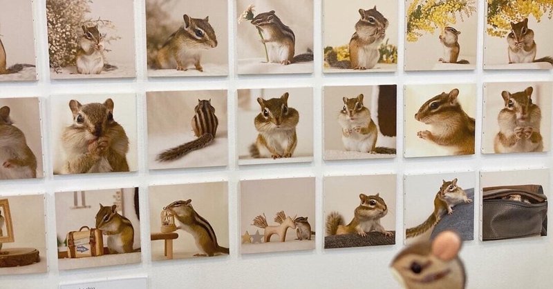 まるっと小動物展22 の新着タグ記事一覧 Note つくる つながる とどける まるっと小動物展22 の新着タグ記事一覧 Note つくる つながる とどける