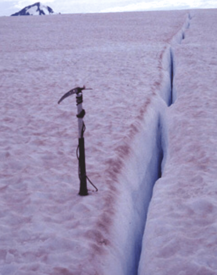 雪の降る朝の赤 雪の降る朝の赤 Slip! Get wet! Fall!