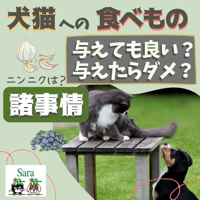 062022_SHAC_Himalaya_thumbnail_犬猫への食べもの_与えても良い__与えたらダメ_