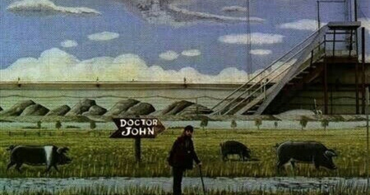 D*子様 ドクター・ジョン　シングルレコード１枚 DR. JOHN / ドクター・ジョン商品一覧｜ディスクユニオン