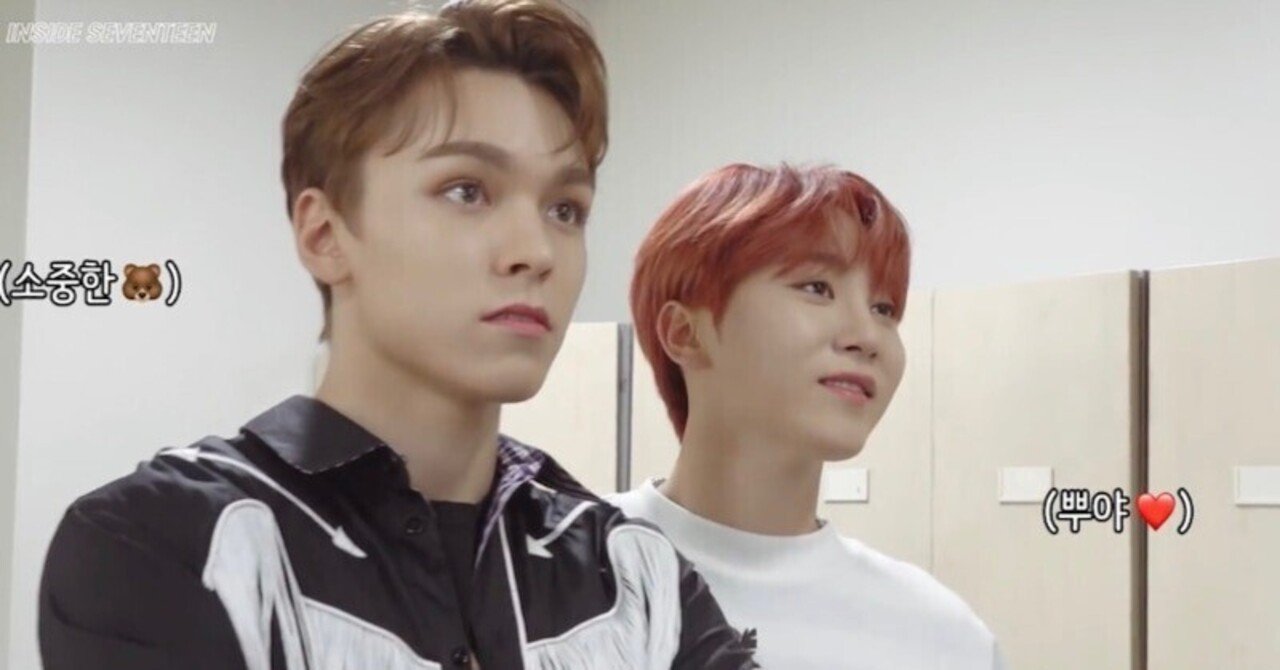 セブチ ソラブー ソラブーとミーニーのことを語りたい｜karin🍊