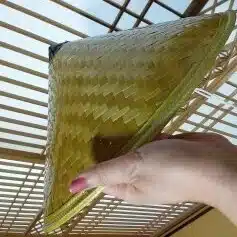 御月秋枝