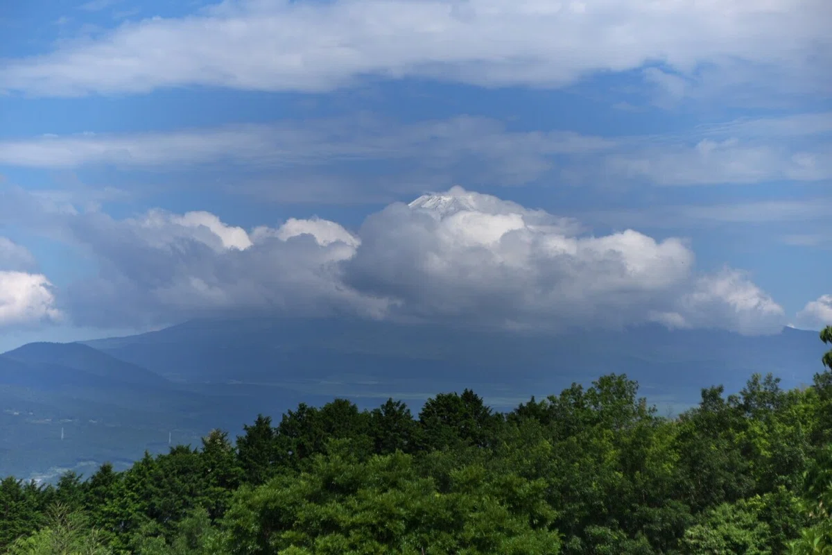 画像1