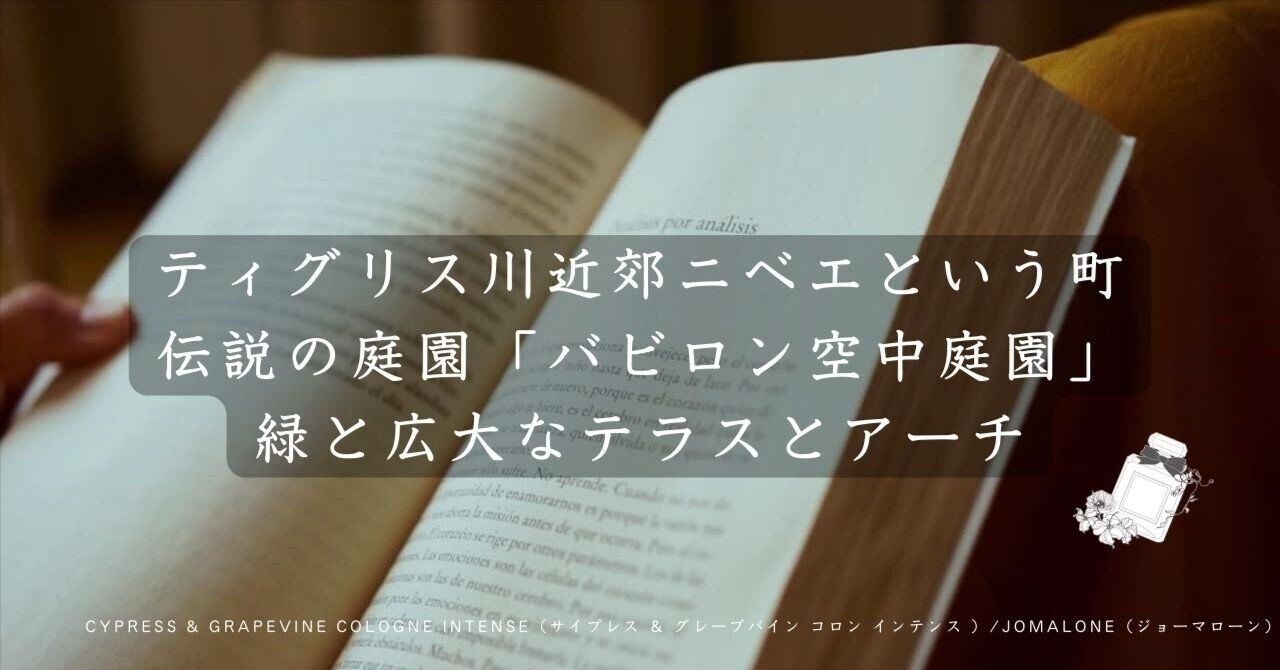 JO MALONE サイプレス&グレープバイン コロン インテンス(JO JO MALONE サイプレス&グレープバイン コロン インテンス(JO