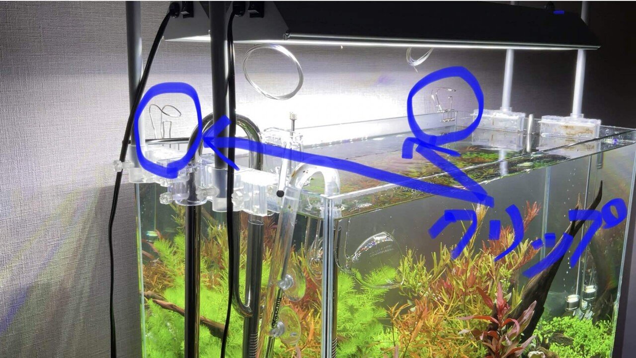 水景はより美しくなる、水槽用LEDバックライトの光 | AQUA
