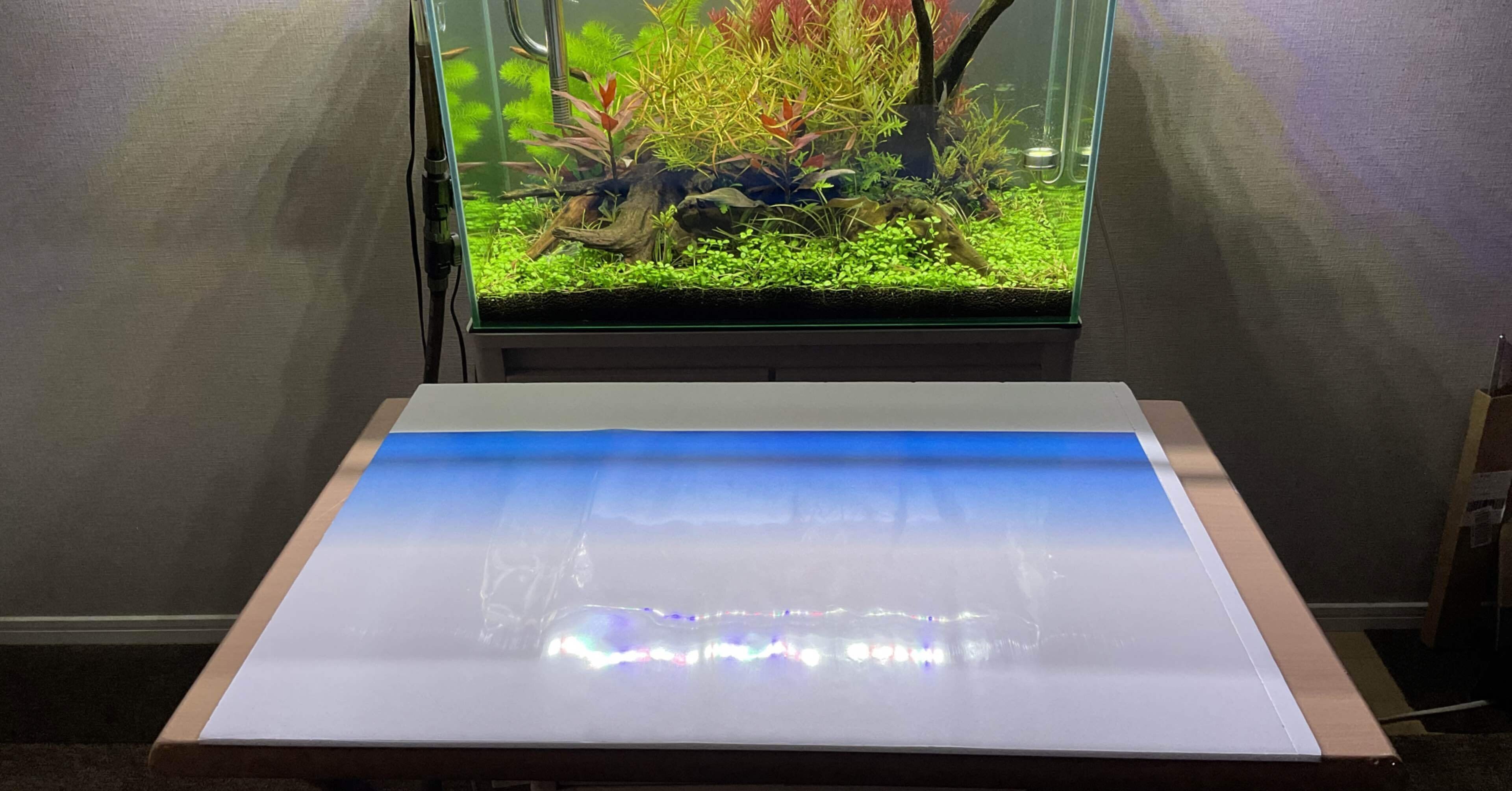 80f49f54243c0c51b2373360c02199