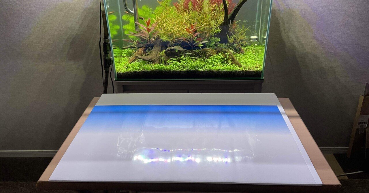 60cm 水槽立ち上げ【バックスクリーンの変更】｜はると 