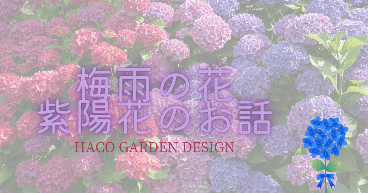 梅雨の花ー紫陽花のお話その 紫陽花の色が変わる３つの理由 Haco ガーデンプランナー 庭のある暮らし植物のある暮らし Note