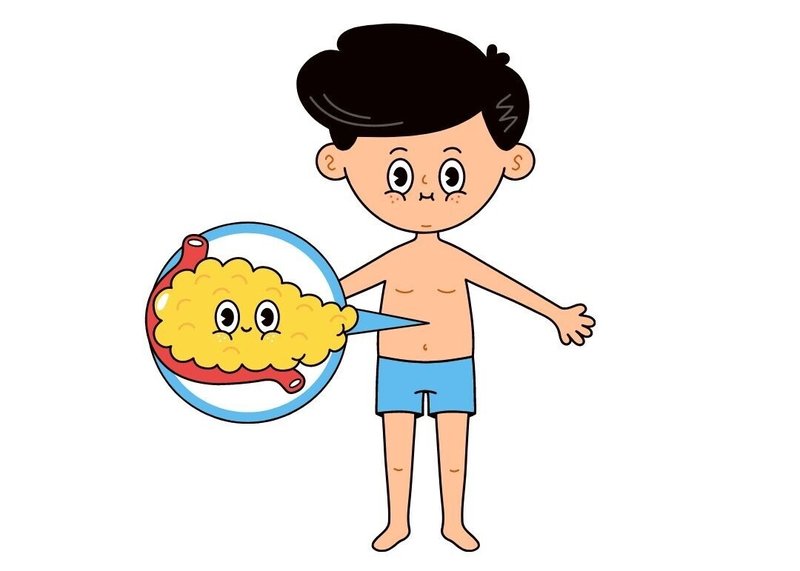 すい臓
