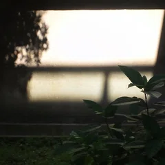 映画評〕複数の異質なリアルさの拮抗/『2デュオ』(諏訪敦彦)をめぐって