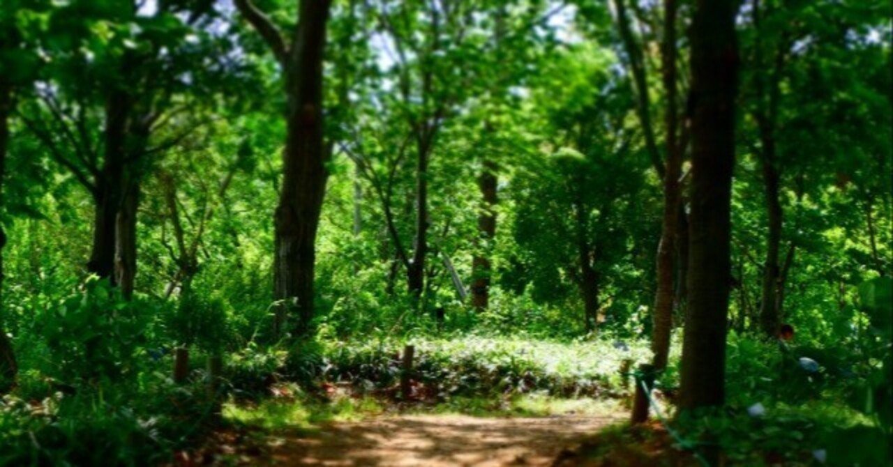 マイナーなのでざっくりまとめ エニアグラムで分けることのできる性格18種類について 刺した光 Note