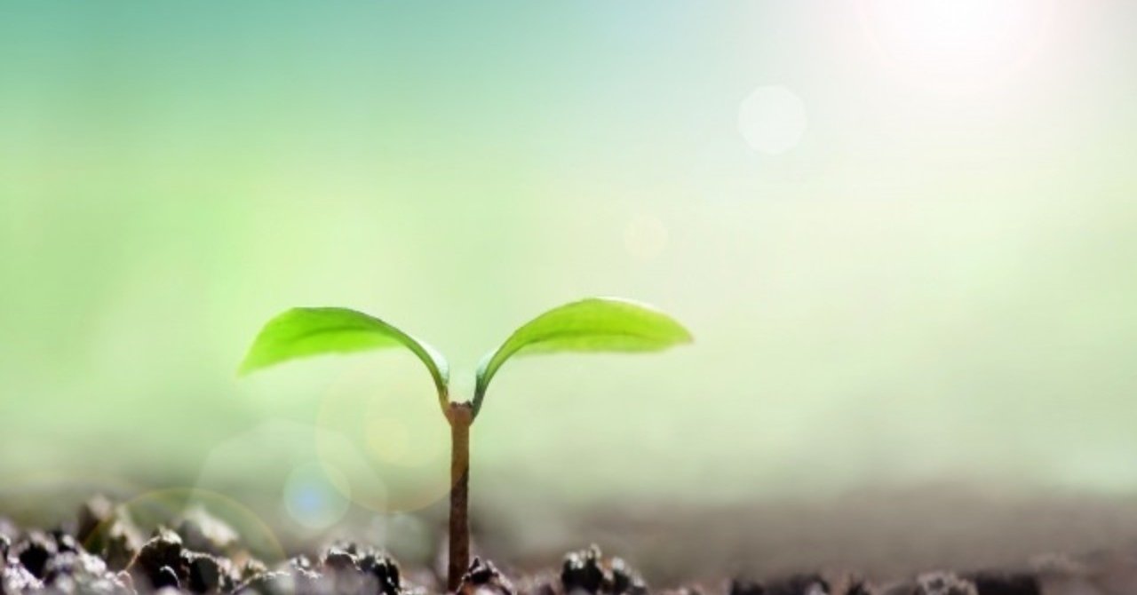植物のなかま分け と ものの覚え方 Shun Ei Note 植物のなかま分け と ものの覚え方 Shun Ei Note