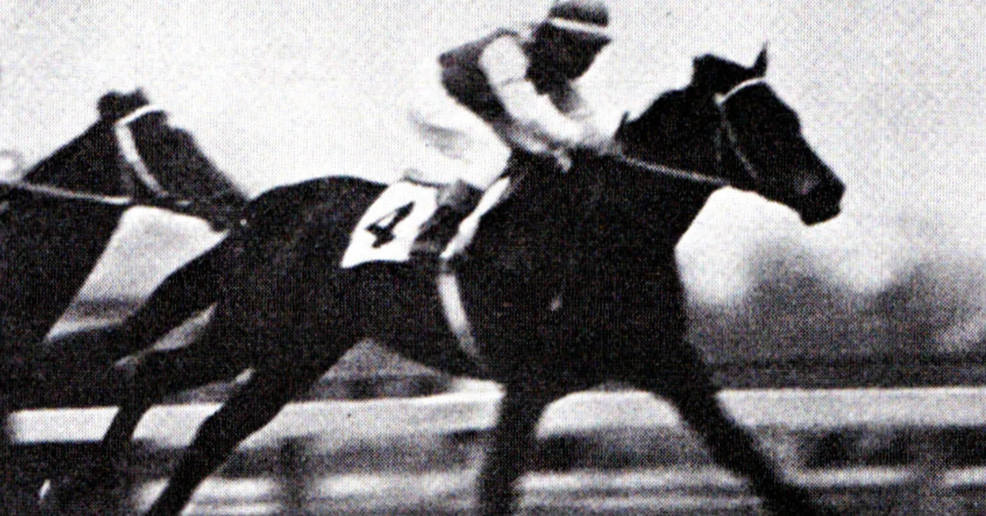 寺山修司『競馬場で逢おう1～6』『競馬エッセイシリーズ全7巻』『対談