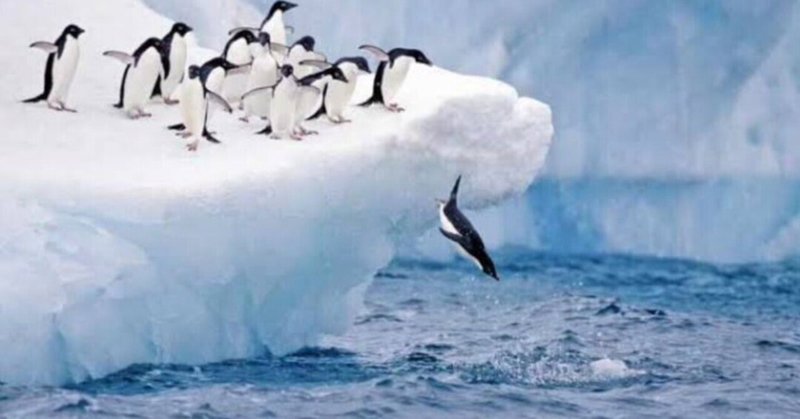 ファーストペンギンになるには勇気と覚悟がいるけど、得るものも大きい