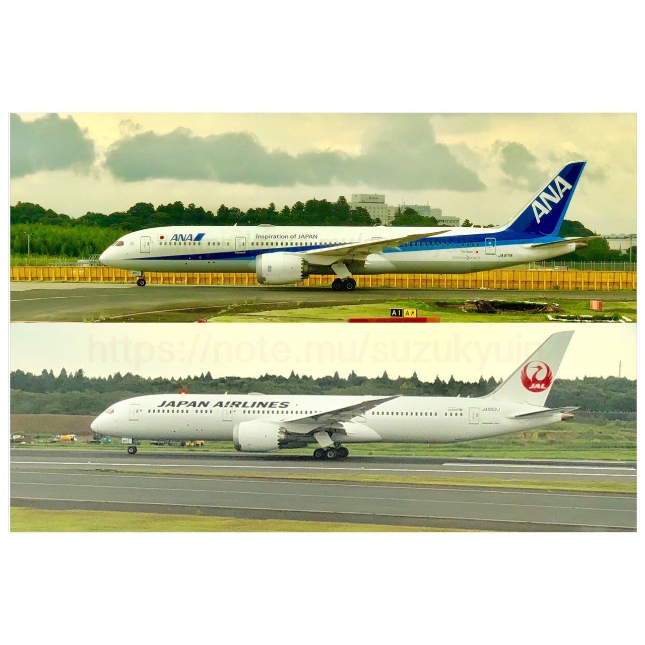 ANA JAL 787-9｜suzukyuin
