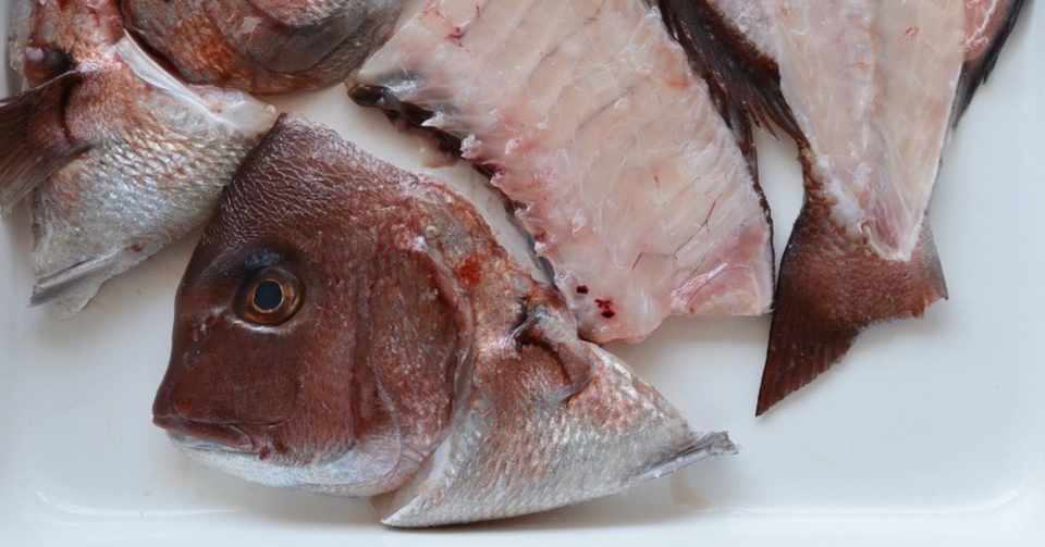 お魚食べてる みんなの魚事情 有賀 薫 Note