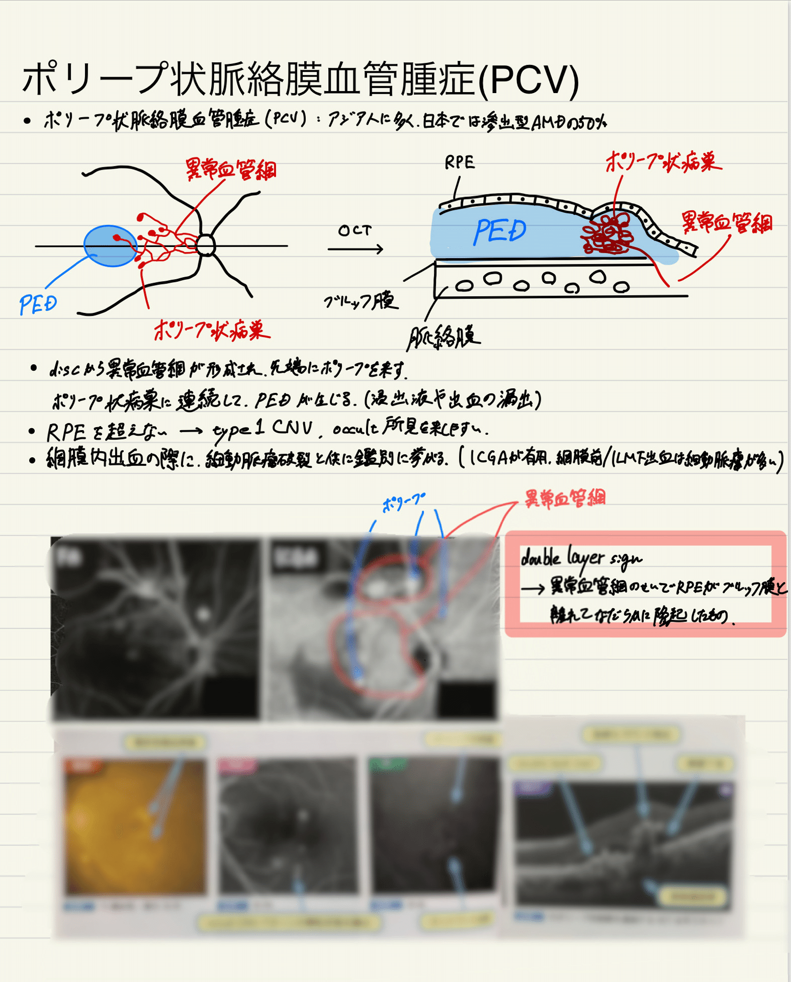 98d6e038c81a2bace6c76c88ee4495