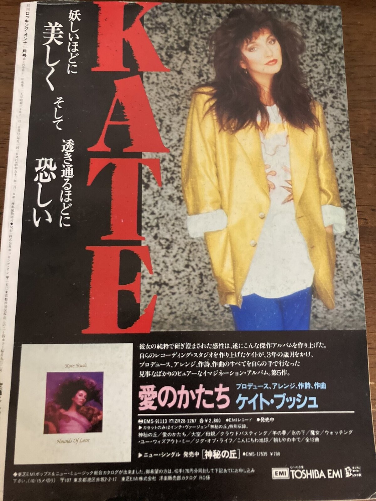 ケイト・ブッシュ「Running Up That Hill(神秘の丘)」 1985年