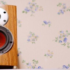 レビュー】スピーカーブック2013付属 eilex EXIMA CONCEPT スピーカー