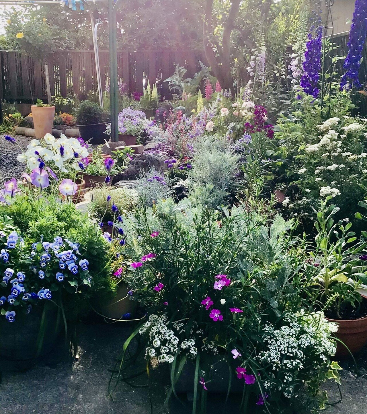 ガーデニング2年生 Chicaco英語塾 Note ガーデニング2年生 Chicaco英語塾 Note