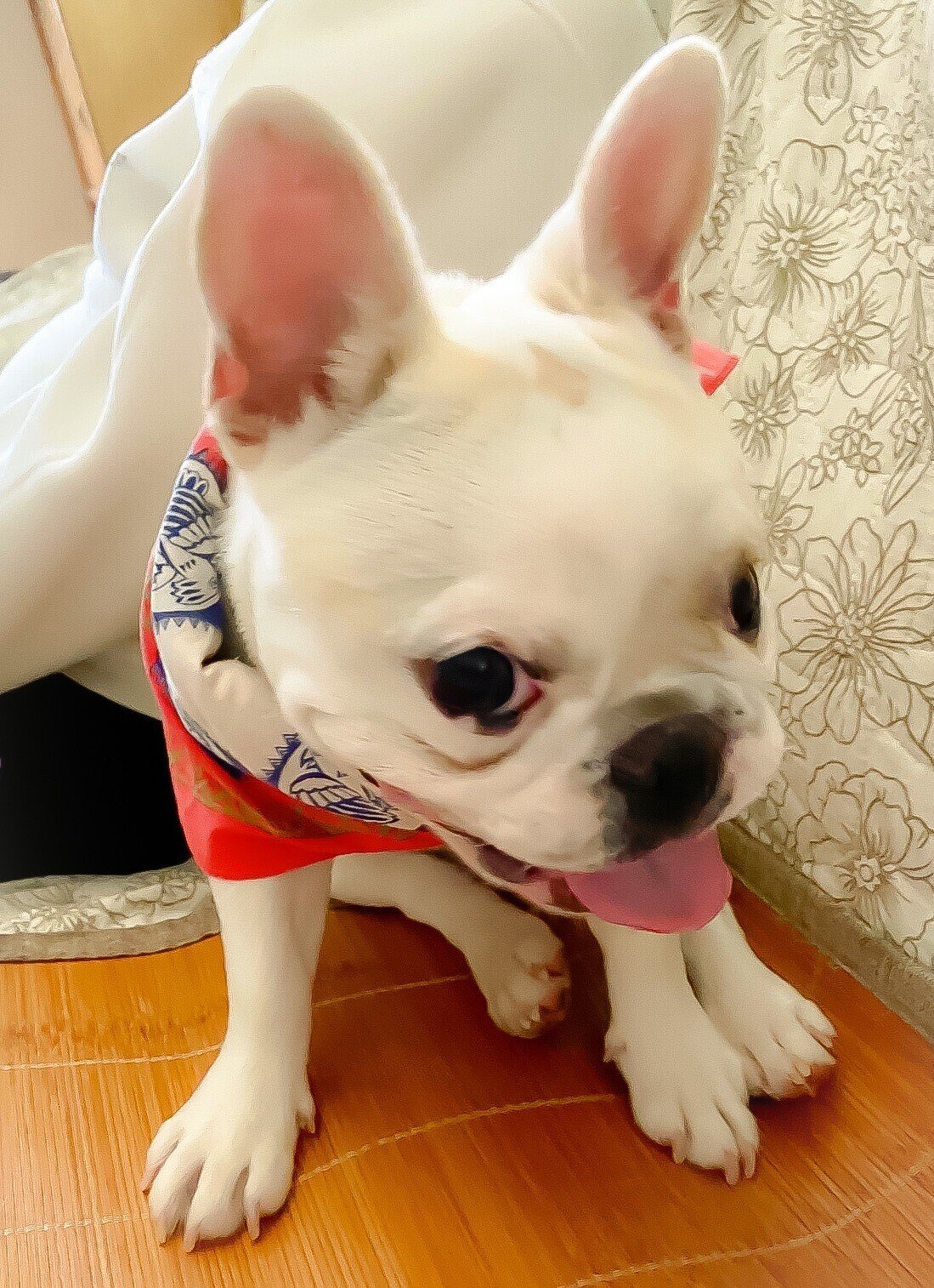 占い つれづれノート ルノルマンカードの魅力その2 天時信哉 Note 占い つれづれノート ルノルマンカードの魅力その2 天時信哉 Note