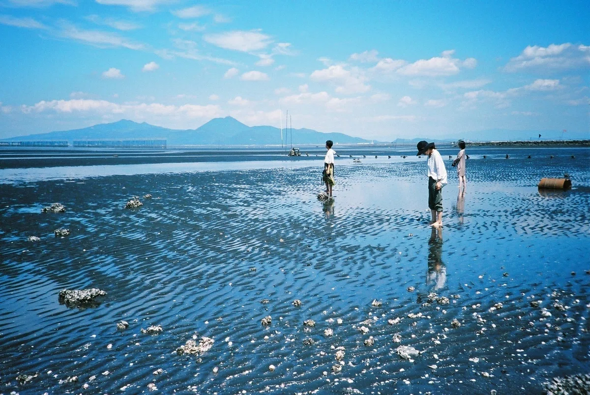 画像